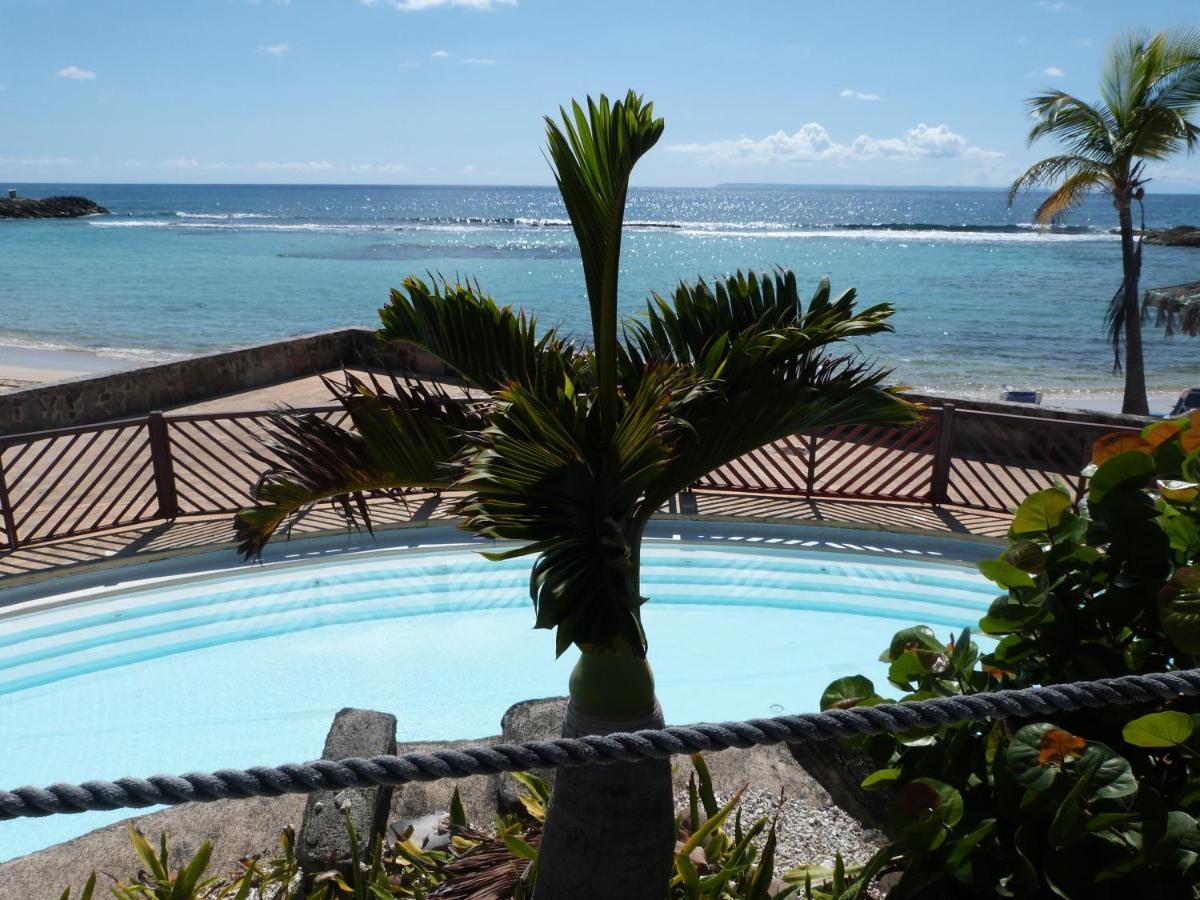 Studio Vue Mer Piscine Plage Kaz Punch Manganao Chez Julie Saint-Francois  Zewnętrze zdjęcie