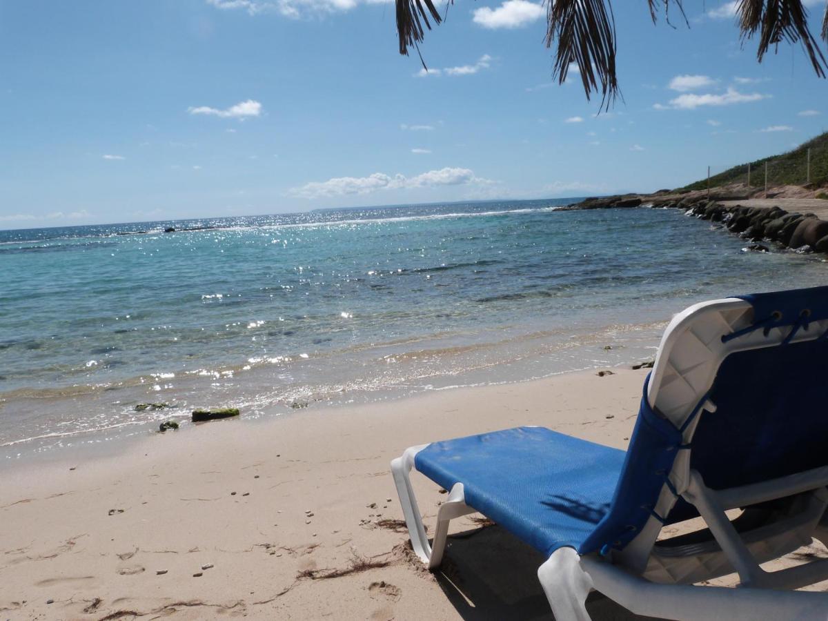 Studio Vue Mer Piscine Plage Kaz Punch Manganao Chez Julie Saint-Francois  Zewnętrze zdjęcie