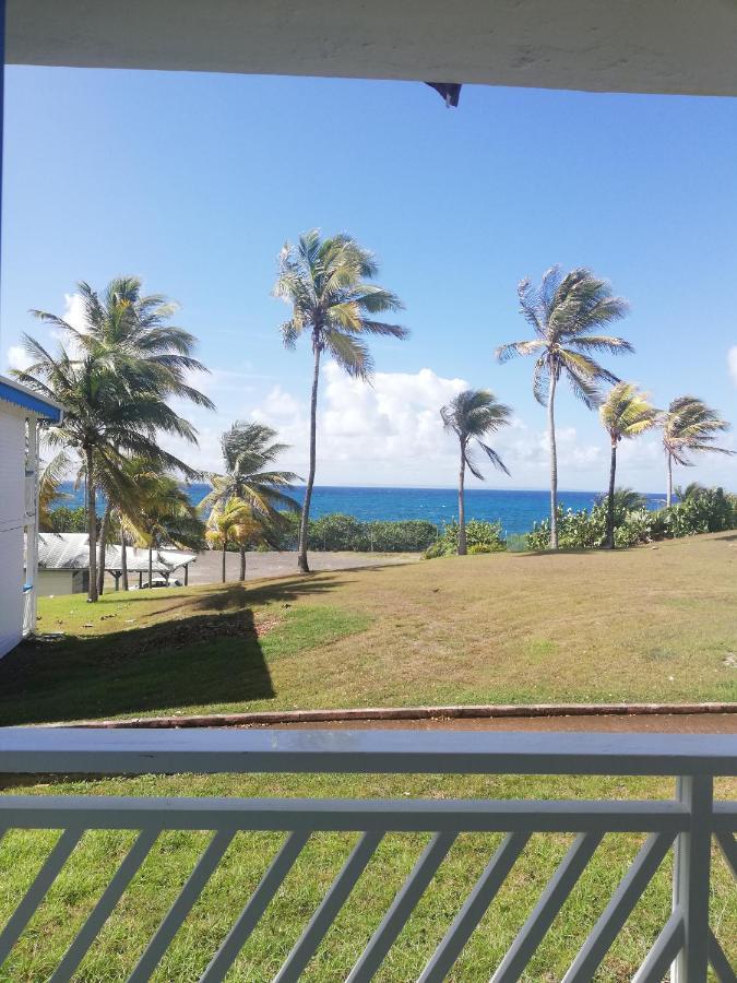 Studio Vue Mer Piscine Plage Kaz Punch Manganao Chez Julie Saint-Francois  Zewnętrze zdjęcie